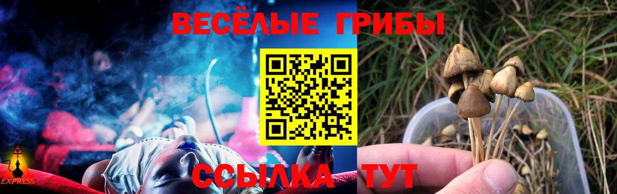Псилоцибиновые грибы Magic Shrooms  Вход с VPN  Смоленск 